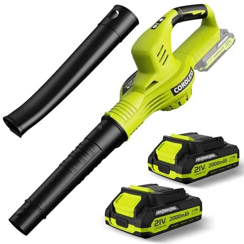 best cordless leaf blower