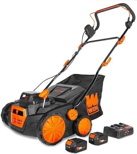 best cordless dethatcher