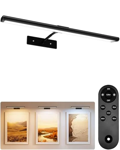 best cordless picture light with remote
