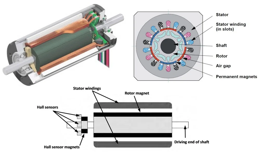 brushless DC motor